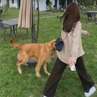 姐妹情谊